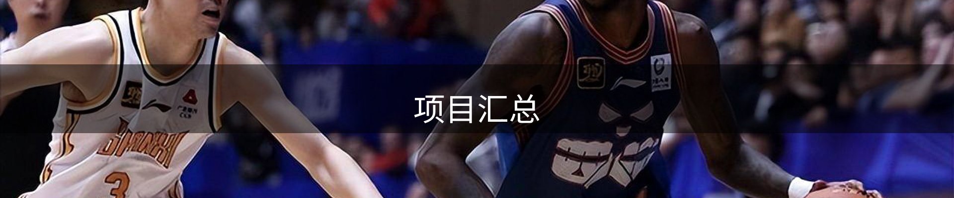 项目汇总